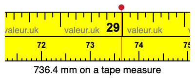 736.4 millimeters on a tape measure