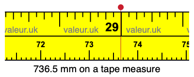 736.5 millimeters on a tape measure